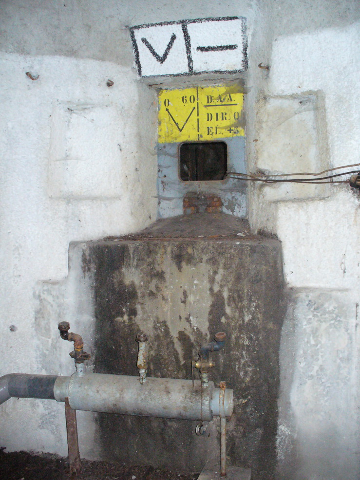 P1310603_resize.JPG