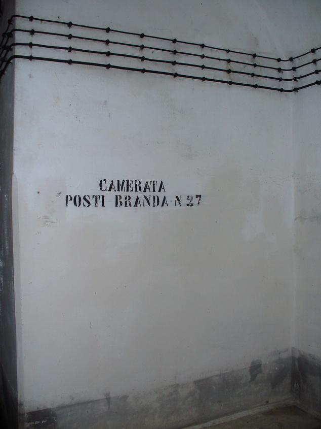 XVIc-3Sb-OP6 022_resize.JPG