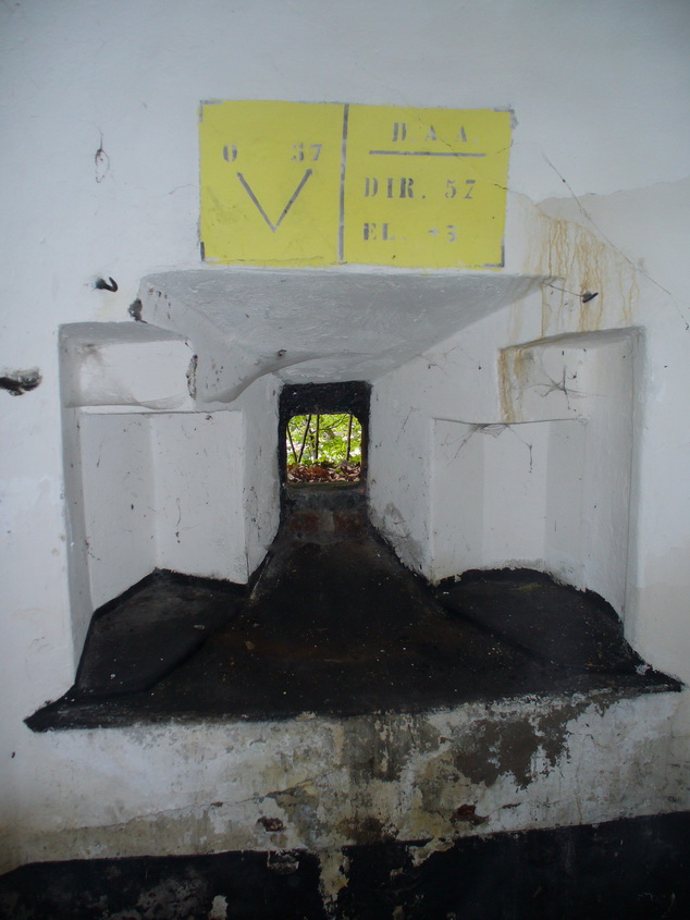 XVIc-3Sb-OP6 033_resize.JPG