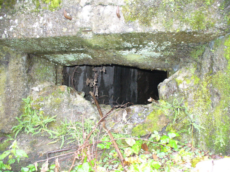 Feritoia