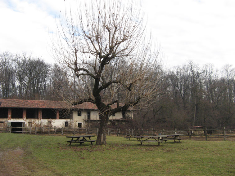 21 dicembre 2013 Solstizio d'inverno al Parco La Mandria-Il gelso bianco e la Cascina Romitaggio