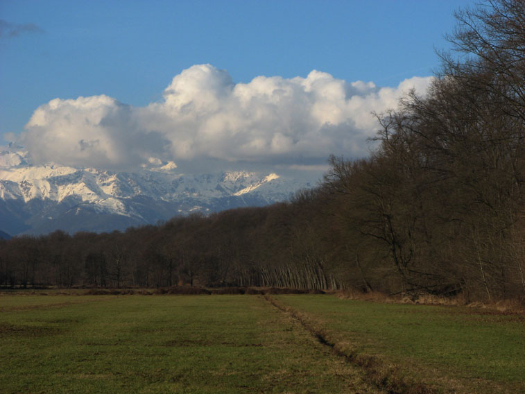 30 dicembre 2013-Parco La Mandria