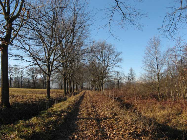 7 gennaio 2014 Parco La Mandria