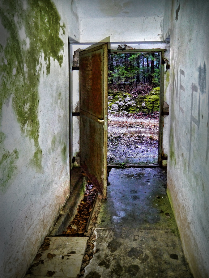 05.jpg