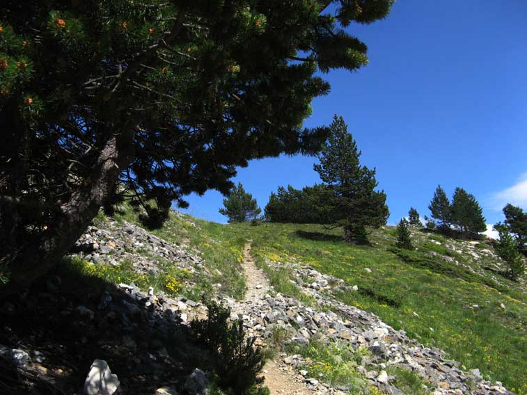 Di fronte a noi l'inizio del pianoro,siamo praticamente arrivati