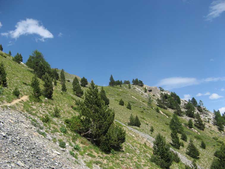Abbiamo quasi raggiunto il pianoro del Petit Vallon,visibile a dx il malloppo della mitragliatrice della B14