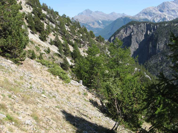 Lungo il sentiero troviamo il cippo del nuovo confine Italo-Francese