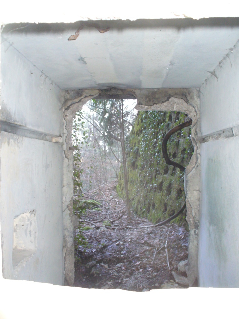 Vista ingresso alto dalla feritoia difesa vicina