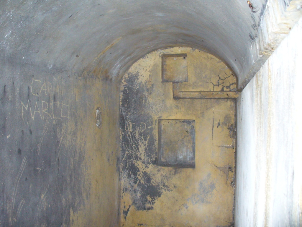 Difesa vicina ingresso