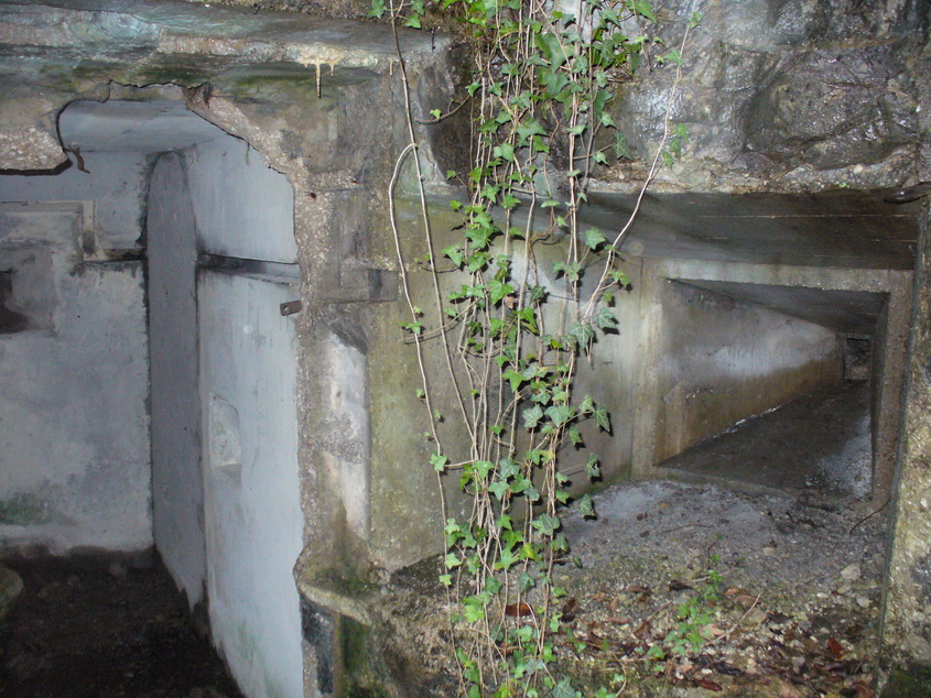 P1320842_resize.JPG