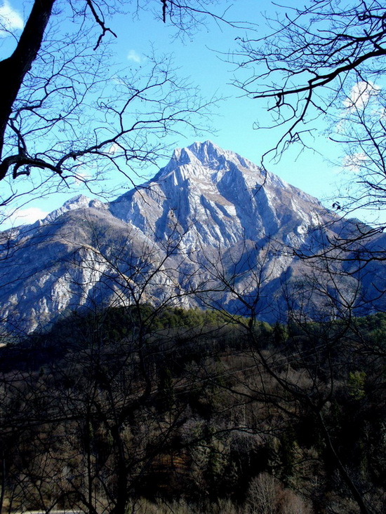 Monte Amarianna mt.1905