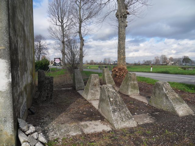 SDC16703.JPG