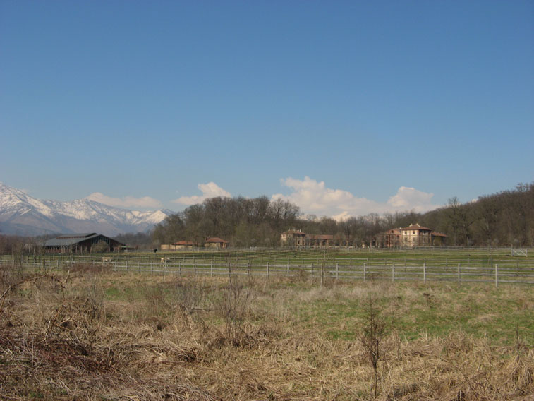 4 Marzo 2014 Parco La Mandria-Verso la Cascina Rubbianetta