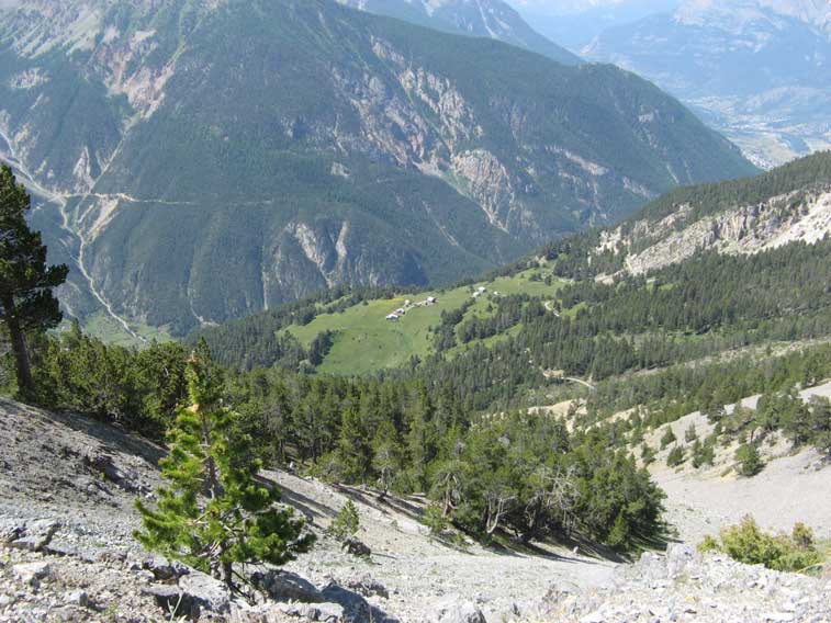 L'alpeggio di Poet-Morand,Qui erano posizionati all'aperto i Pezzi 1 e 2 della 6a Batteria.Volutamente non scendiamo in quanto praticamente non resta più nulla