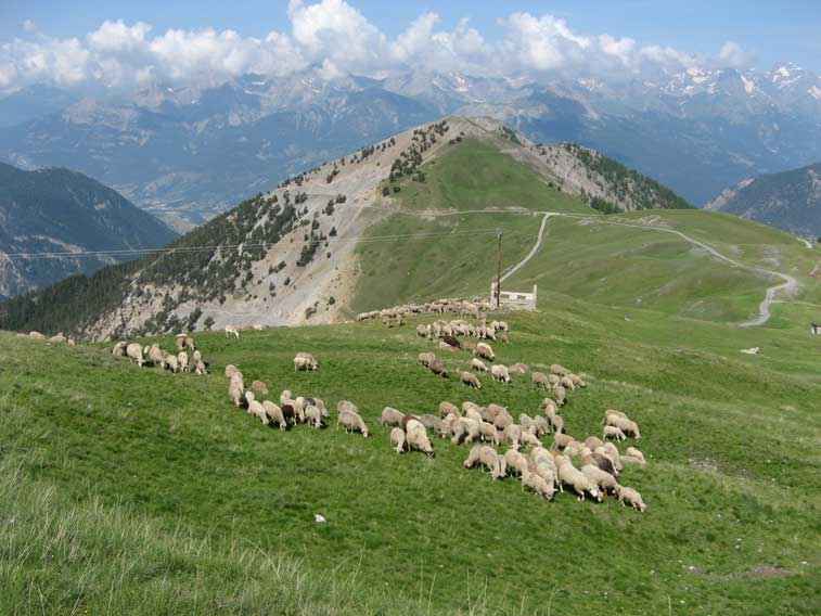 Scendiamo verso il colletto Gondran per imboccare la strada che conduce a La Cochette,l'Infernet e l'Eyrette.