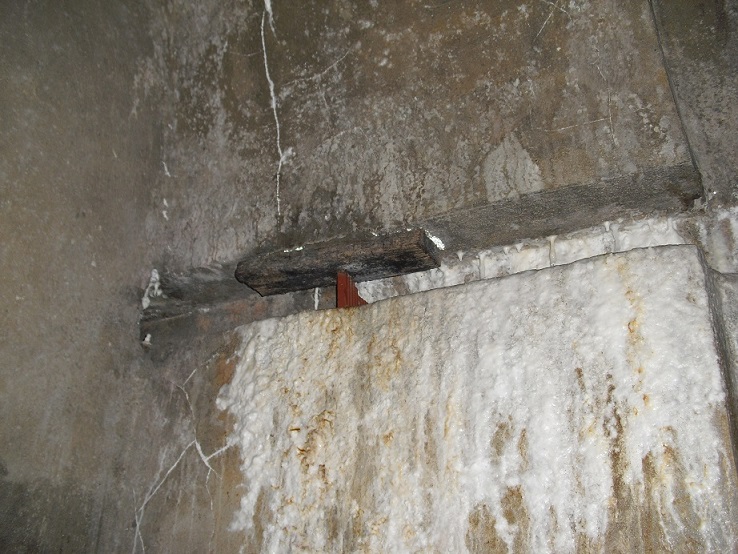 CIMG7807.JPG