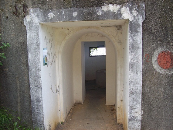 100_7113.JPG