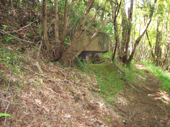 100_7096.JPG