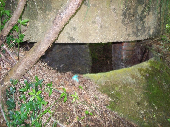 100_7095.JPG
