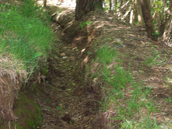 100_7093.JPG