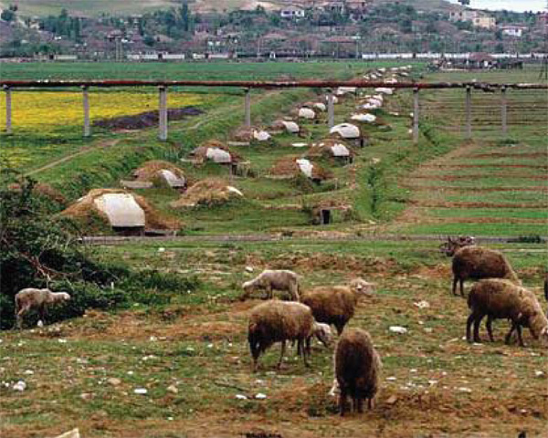 Albania_bunker_line.jpg