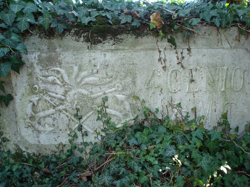 DSC00437.JPG