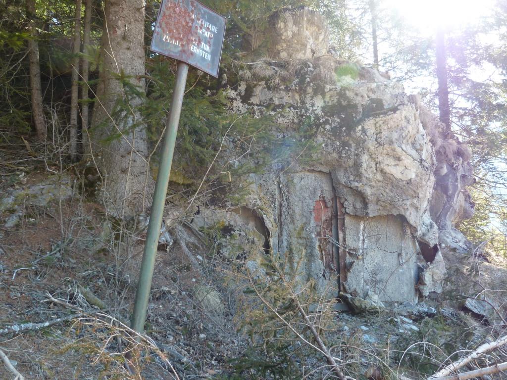 P1000245.JPG