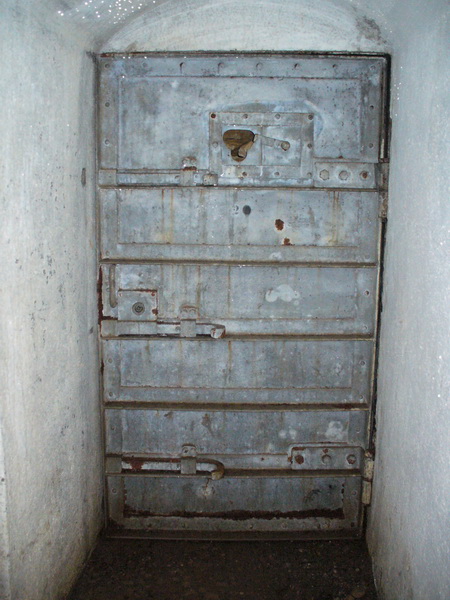 P1360339_resize.JPG