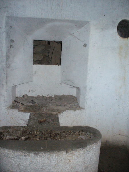 P1360330_resize.JPG