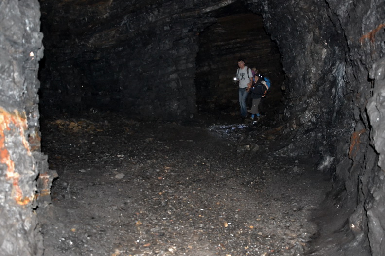 DSC_0350res.jpg