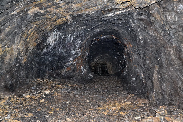 DSC_0339res.jpg