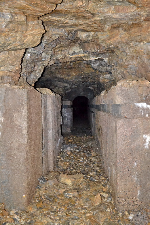 DSC_0335res.jpg