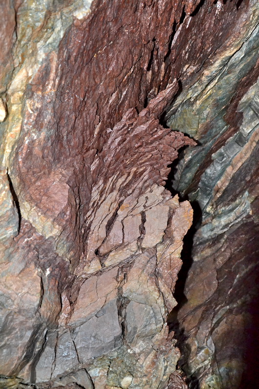 DSC_0331res.jpg
