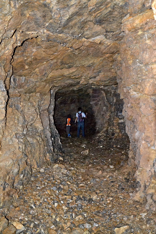 DSC_0325res.jpg