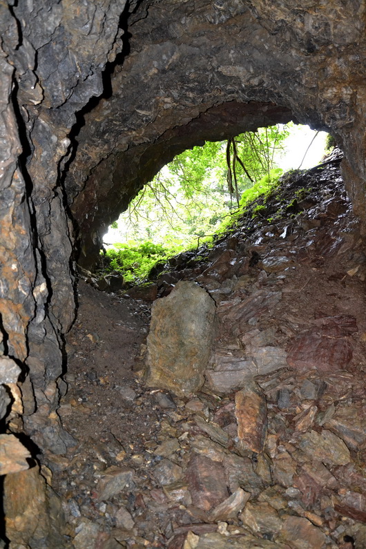 DSC_0322res.jpg