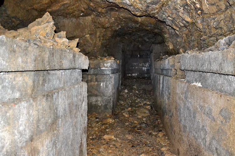 DSC_0321res.jpg