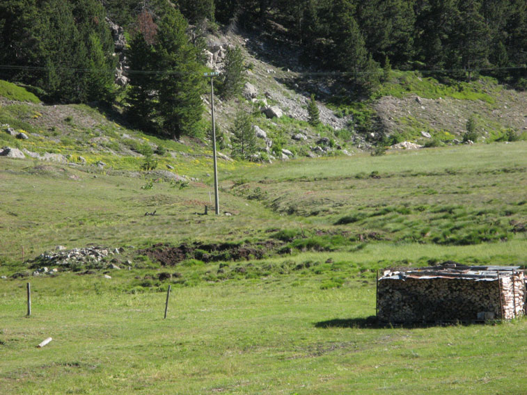 Piana di La Coche-I resti del fossato anticarro con alle spalle i ruderi dei malloppi del Centro 23