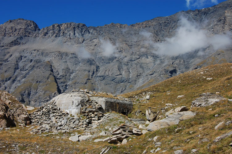 Verso il ricovero