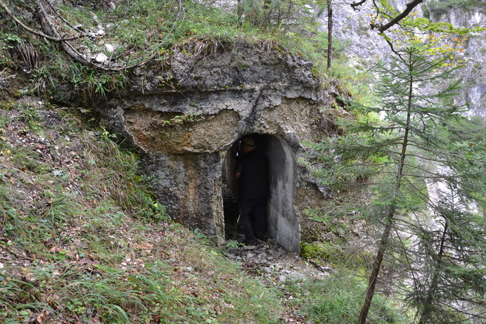 DSC_0798_resize.jpg