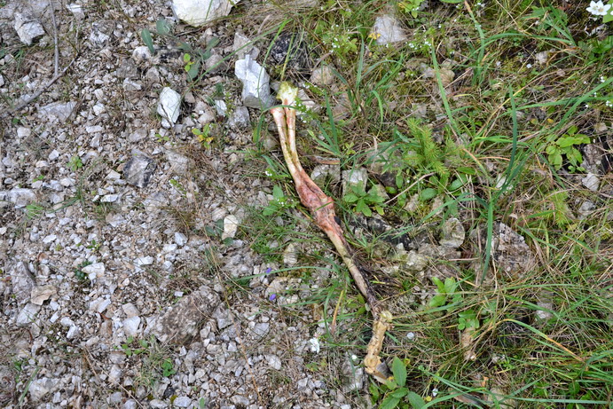 DSC_0791_resize.jpg