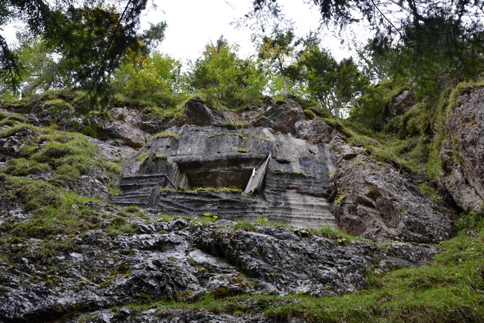 DSC_0855_resize.jpg