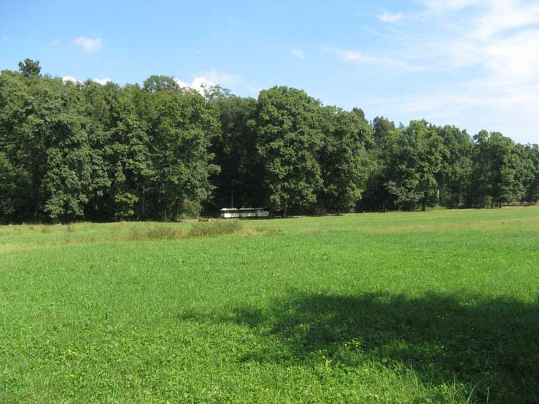 20 settembre 2014 Parco La Mandria-Il trenino