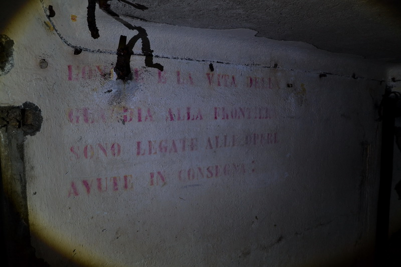DSC_0220_resize.JPG