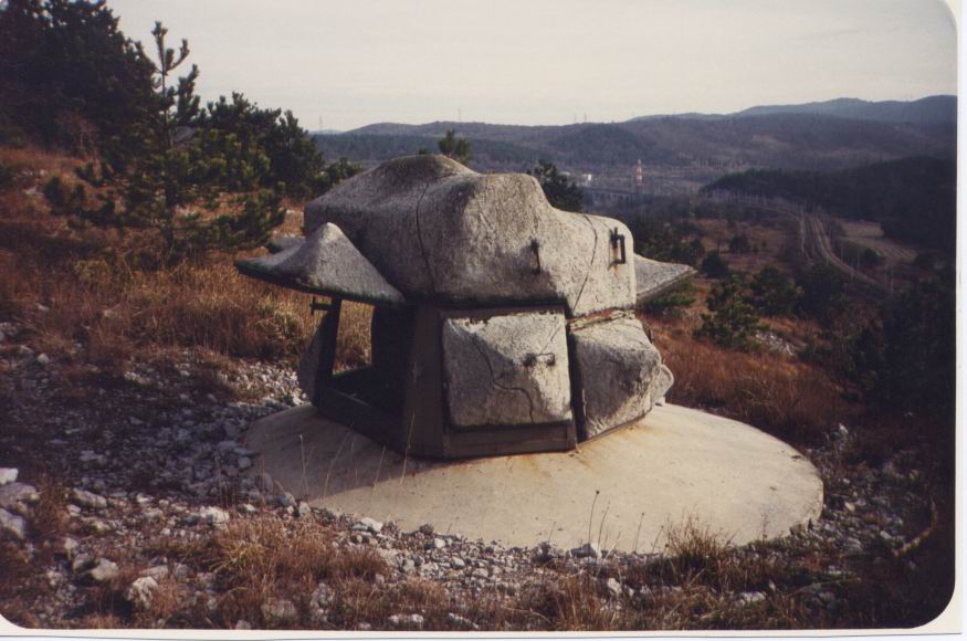 Immagine-85.jpg