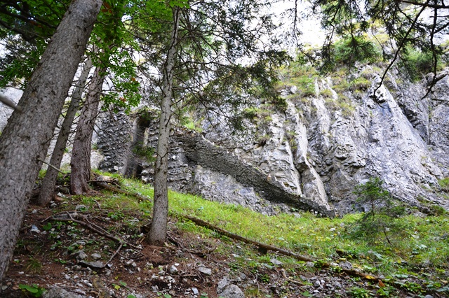op1 sella lom.JPG
