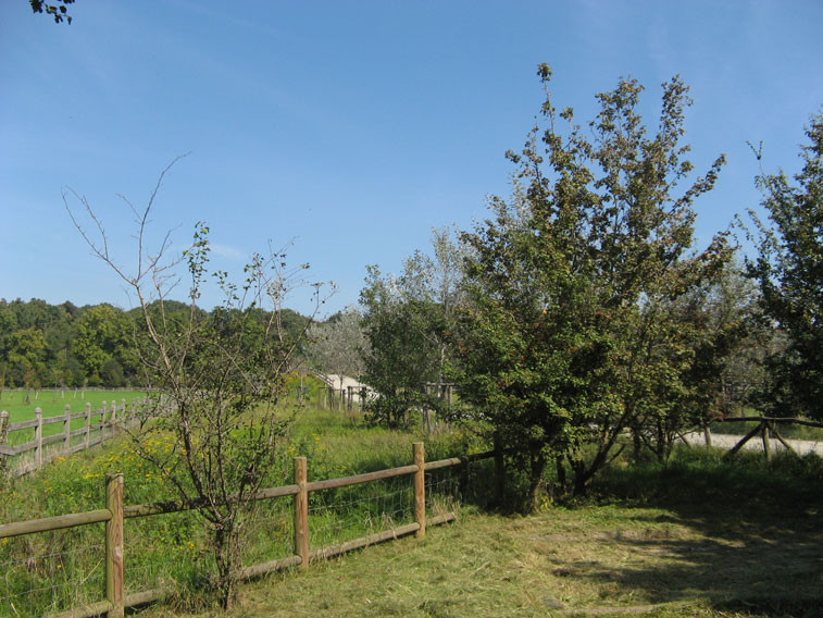 25 settembre 2014 Parco La Mandria