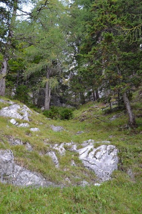 Op.1 Sella Lom 000.jpg