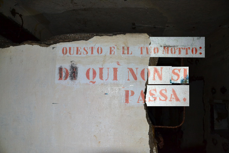 DSC_0222_resize_mod.jpg