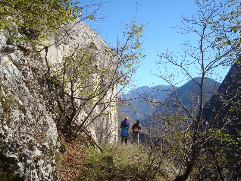 DSC08952.JPG