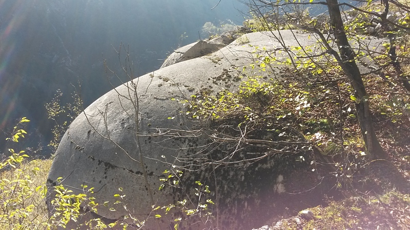 20141025_115538.jpg